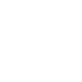 Due Diligence Report and ICO Summary